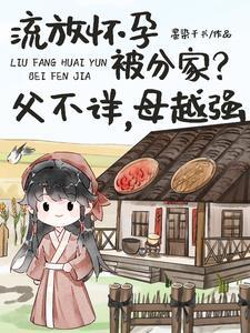 边关深山盖大房TXT