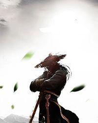 星际之惹上猛禽